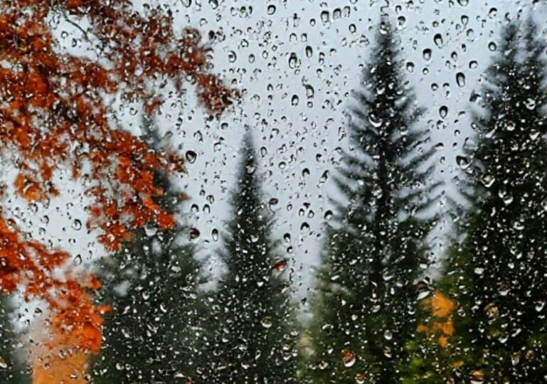 Хорошо и никого. 12-1