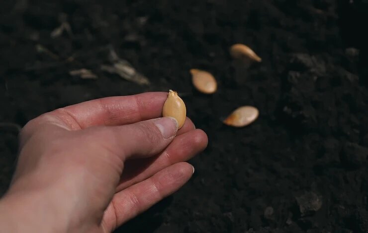 фото 123RF/yanadjana
