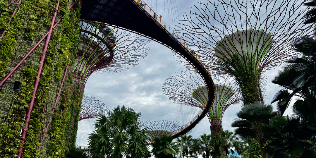 Gardens by the Bay в Сингапуре: почему это место называют "сад будущего" и чем он знаменит на весь мир