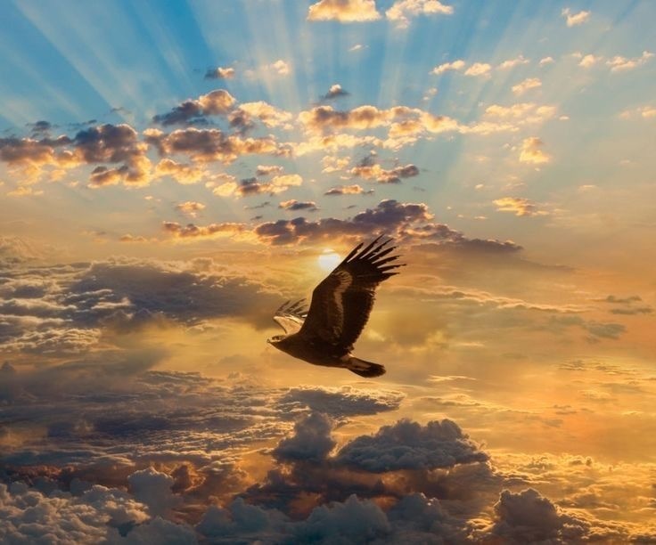 Фото-Pinterest.Ирина Путилова — более 11 лет непрерывно практикующий, сертифицированный коуч — коррекция и улучшение сферы денег, личные энергии и энергетики пространств.