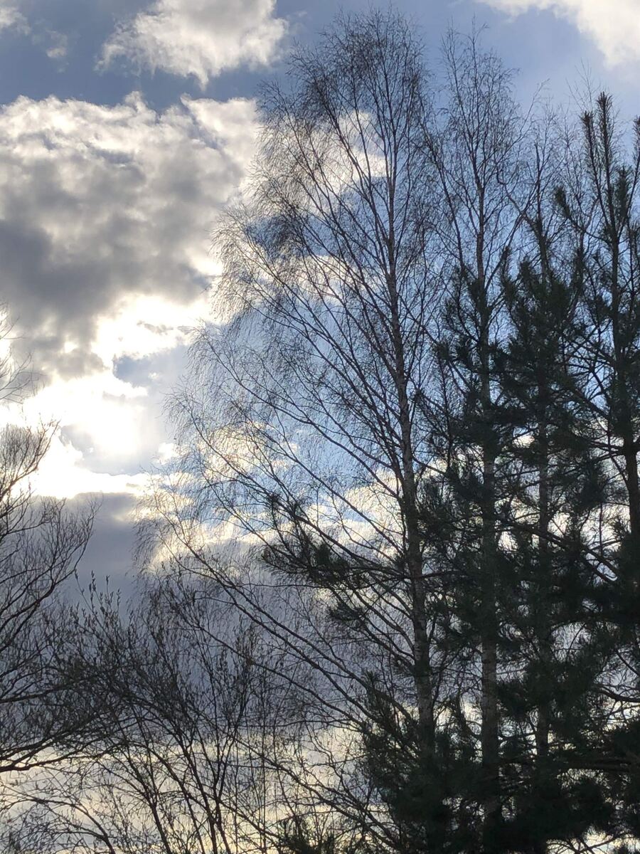 Закатное небо сегодня, погода начинает портиться.