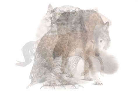 Источник фото ВКонтакте - https://sun9-85.userapi.com/s/v1/ig2/2gquOM7UpGMByGO3VegmVQWbrD26fJVi5FWzIjyMliur1tXzdeG_RWjK0OtP4NcT6L9cJk17vqL7peskdVZ3HOSH.jpg?quality=95&as=32x21,48x32,72x48,108x72,160x107,240x160,360x240,480x320&from=bu&u=eI4aeRQDv8sLeIAZ3SOTRnd6QWtfTZOun3TMP-YJ9p4&cs=480x0