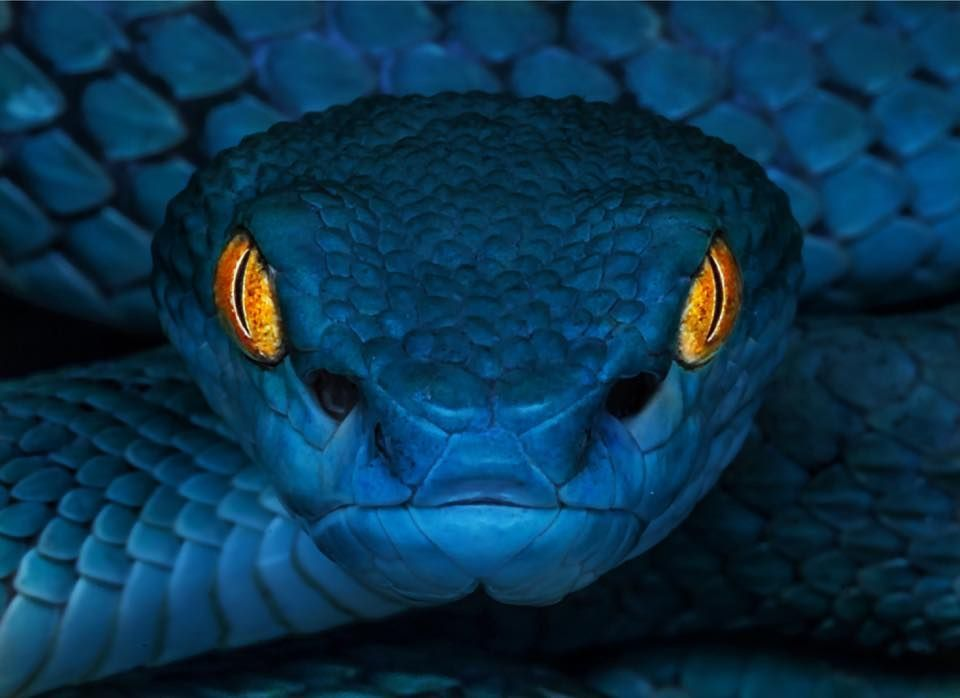 Изображение взято в интернет