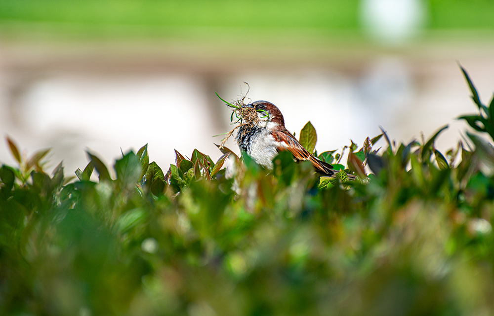 Погода в Твери 22 апреля. Падение давления
