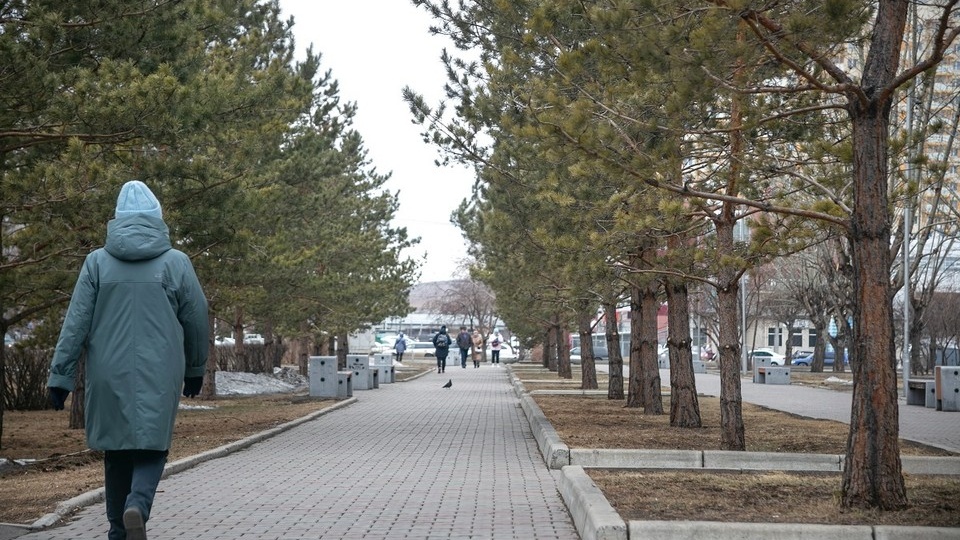 Началось голосование за объекты благоустройства в Красноярском крае на 2027 год