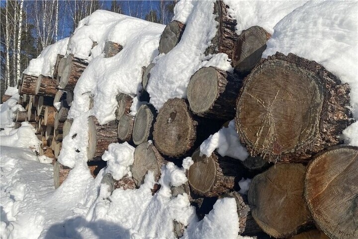 Контрабанду леса на 240 тысяч рублей прикрывали договорами купли-продажи в Красноярском крае