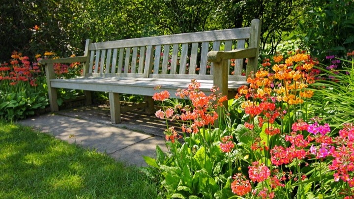 Обработка участка от клещей стала для меня системой, а не разовой мерой — и это изменило многое