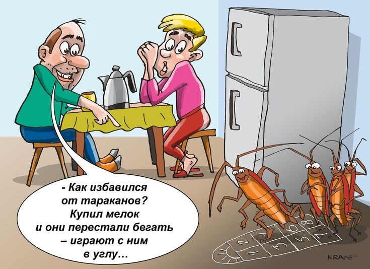 Карикатуры про назойливых тараканов в голове и в квартире