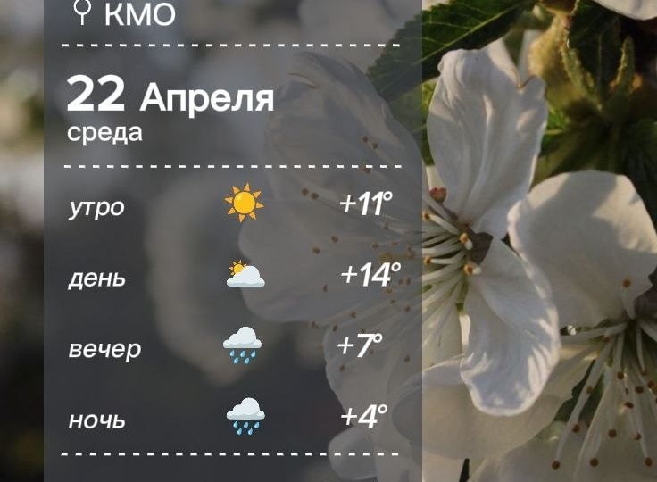 Погода в Кировском округе 22 апреля
