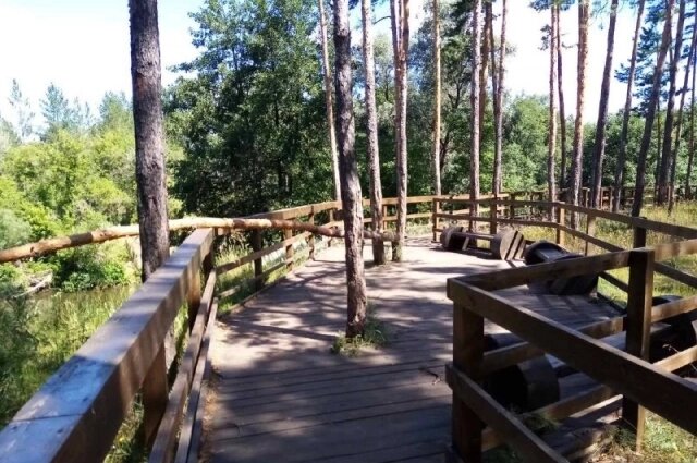    Фото: Национальный парк «Бузулукский бор»