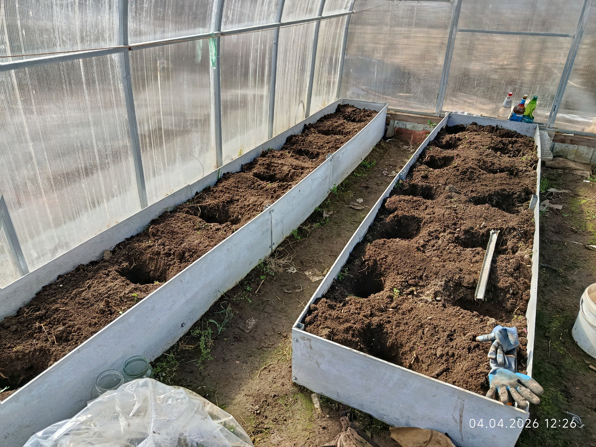 Здесь в 2026 году будут расти томаты