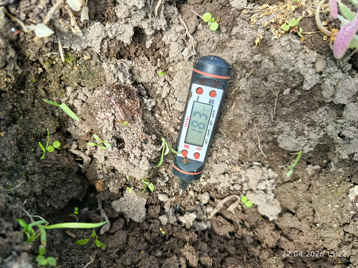 22 апреля, солнечно. Но в следующие дни всё может остыть.. Видели прогноз до 5 мая, да? 