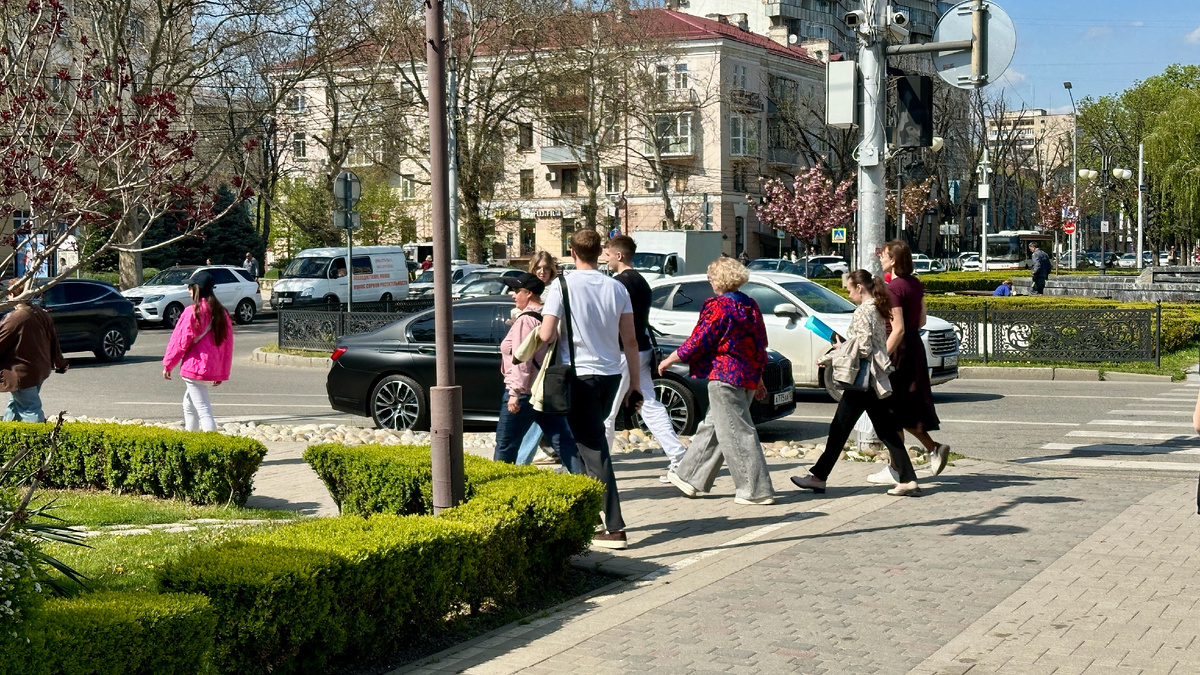 Краснодарская весна, в этом году очень холодная!