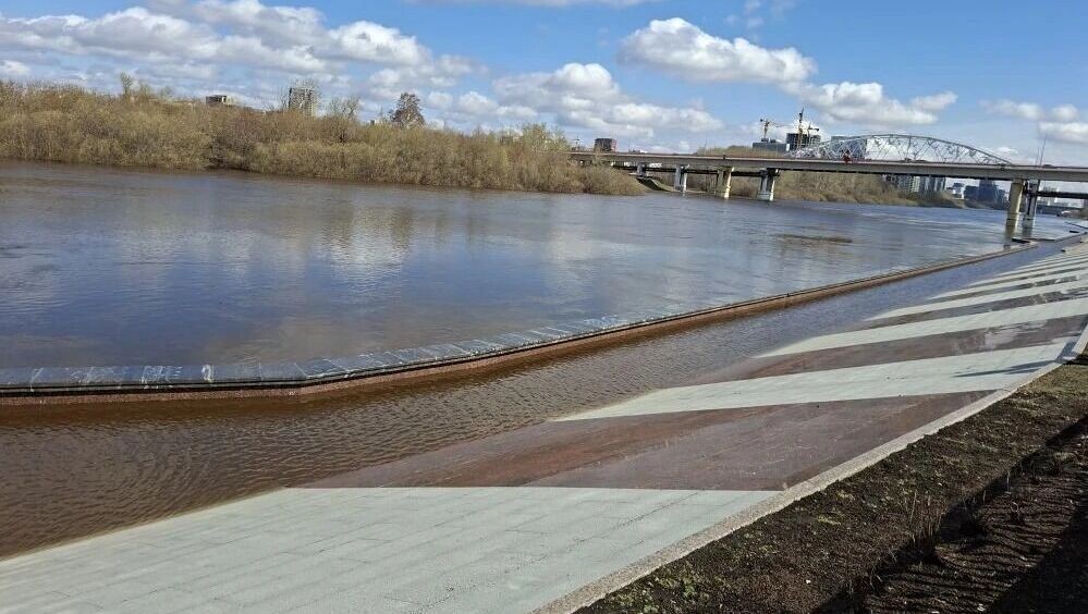    Тура вышла на набережную в Тюмени после резкого подъема уровня воды   nashgorod.ru