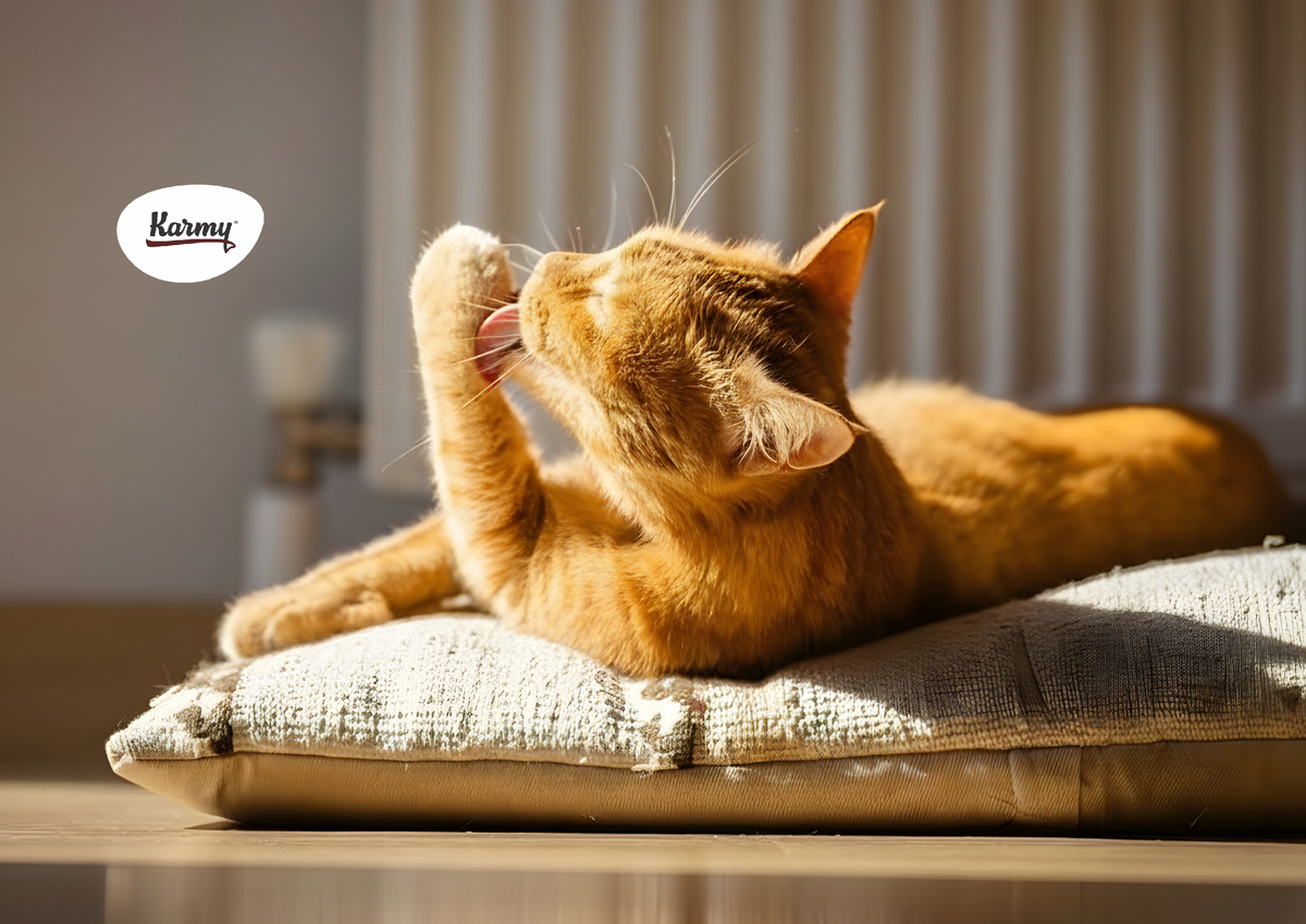 Авторское изображение с использованием картинки с сайта i.shgcdn.com