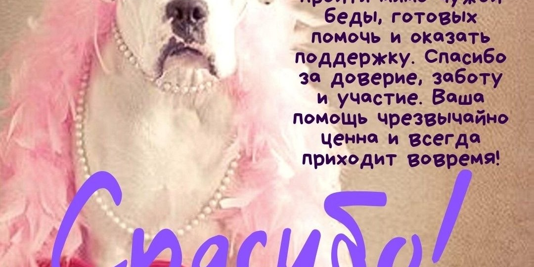 Друзья , от имени всех всех спасённых, всех обогретых, всех нашедших свой дом — низкий поклон и бесконечная благодарность каждому, кто