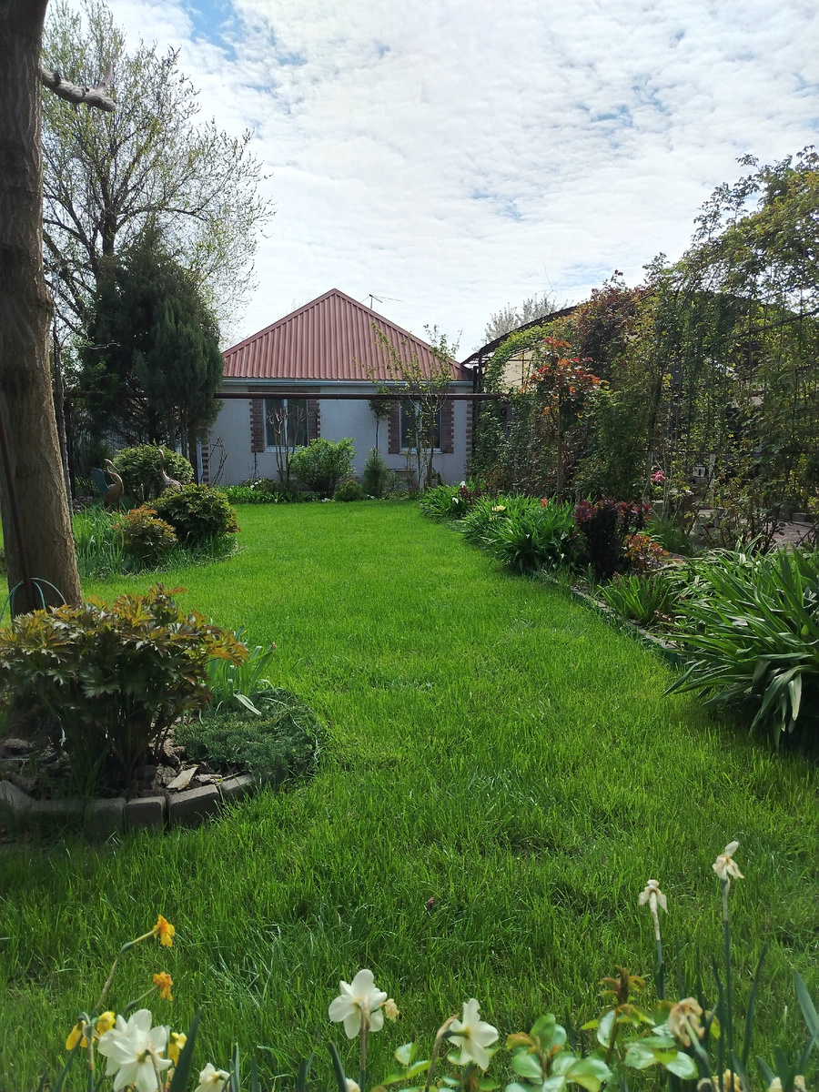 А саду всё по барабану и отлично. 