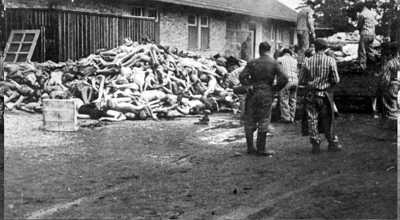 Фото из свободных источников.