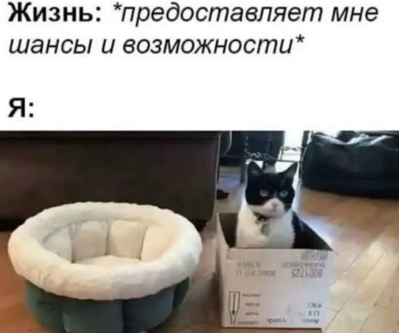 картинка из свободного доступа