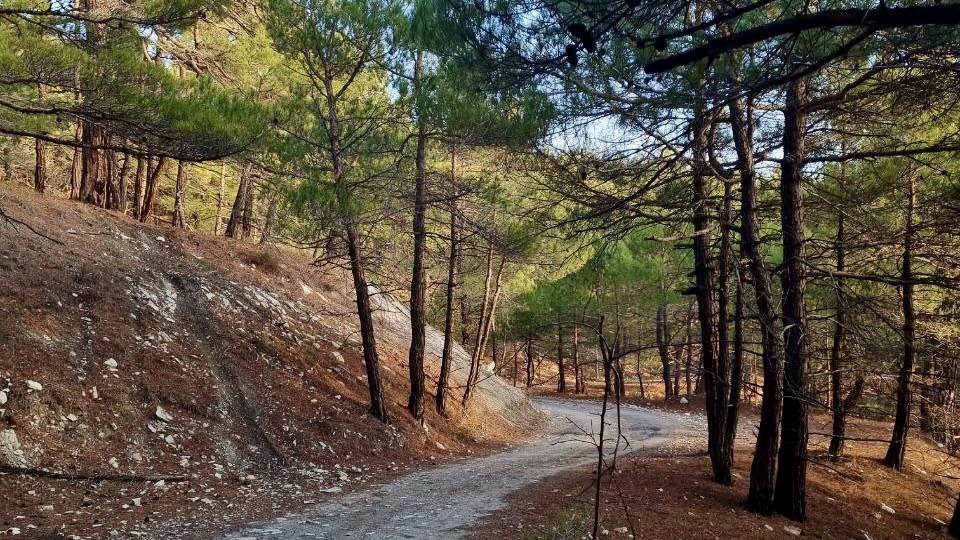 Тропа ВелоSea