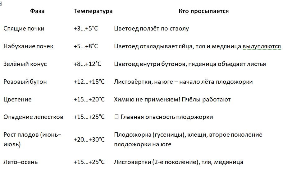 Таблица и фото Натальи Мироновой