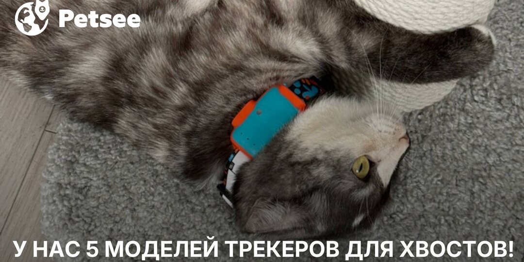 Как не промахнуться с GPS-трекером для питомца: сравнение всей линейки Petsee — от Mini до КРС