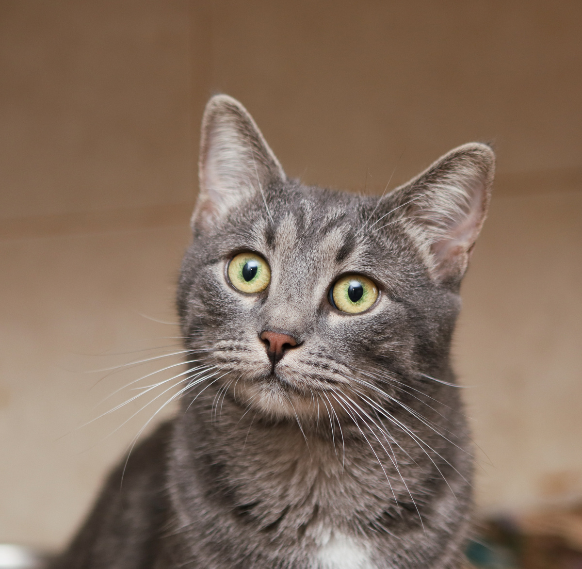 И сколько можно описывать нашу идеальность?