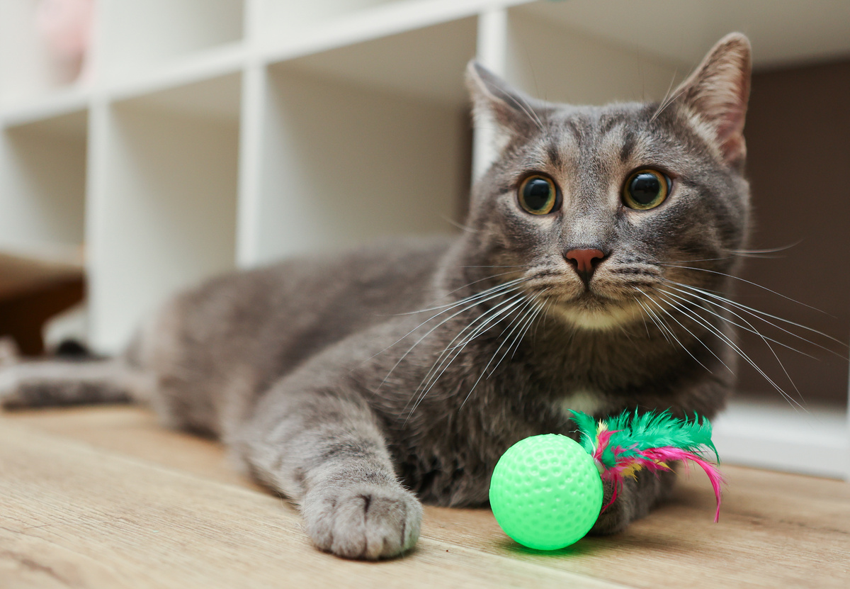 Я даже слова-то такого не знаю. Эгоист...