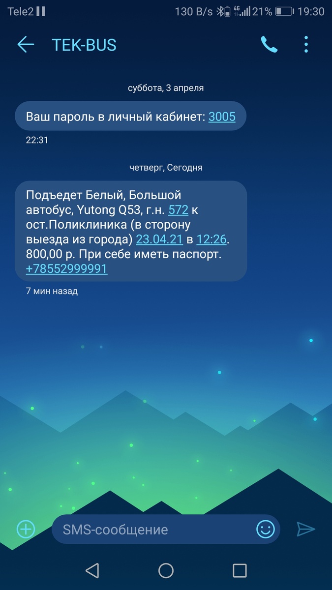 Скриншот того самого автобуса, что увёз меня замуж 😅