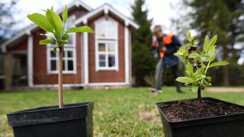   РИА Новости Кирилл Каллиников