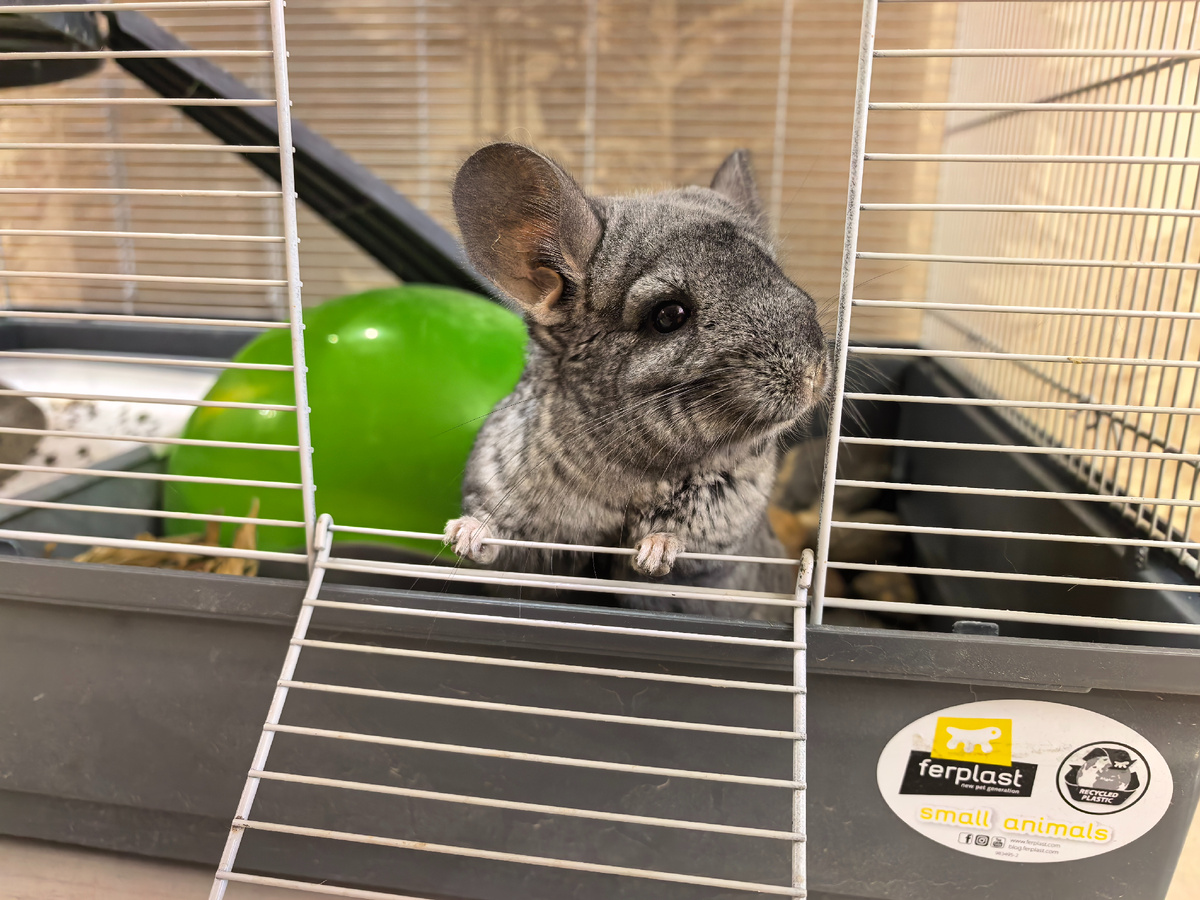 (© Анна, «Маяк энтузиастов»)