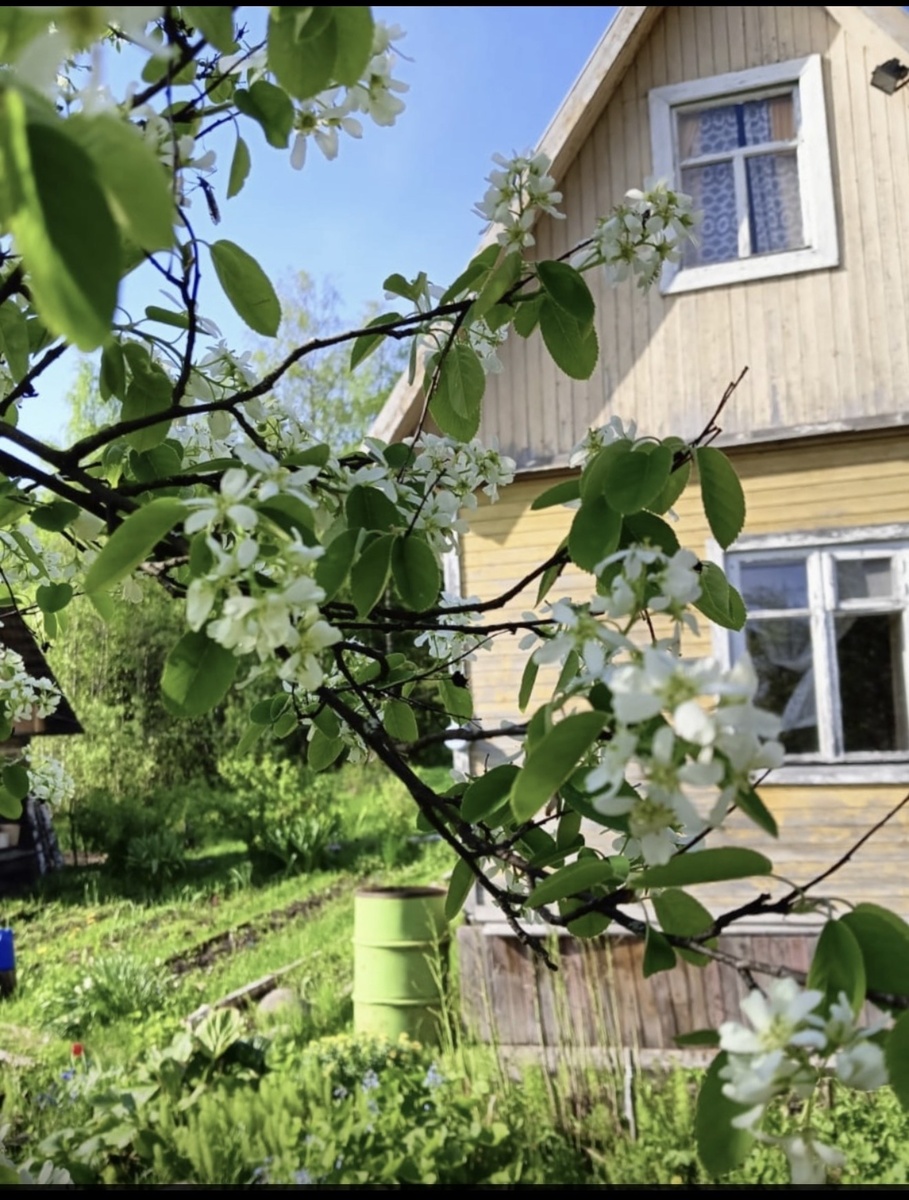 В нынешнем сезоне беззаботному дачнику грозят не только колорадские луки, но и повышение штрафов по 7 важнейгим пунктам дачной жизни 