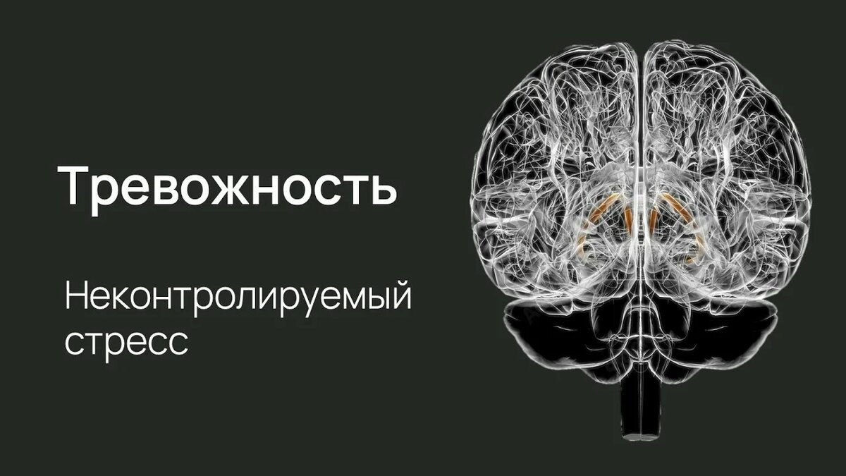 Изображение из открытых источников