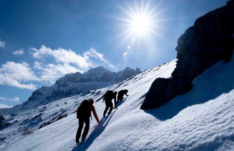 Фото: hutterstock / FOTODOM / emerald_media