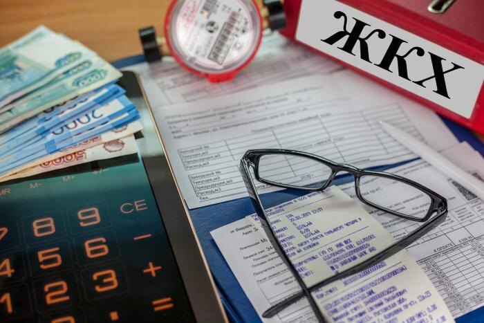 В каких регионах России уже можно взыскать долг за ЖКУ онлайн. Фото © Shutterstock / FOTODOM / evgenii mitroshin