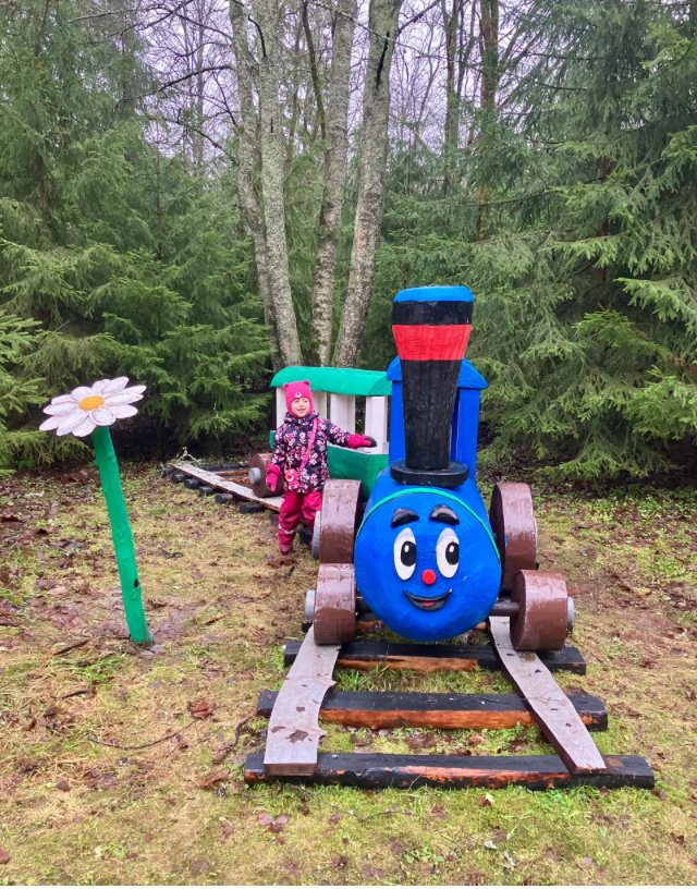 Паравозик из Ромашково. Фото автора. 