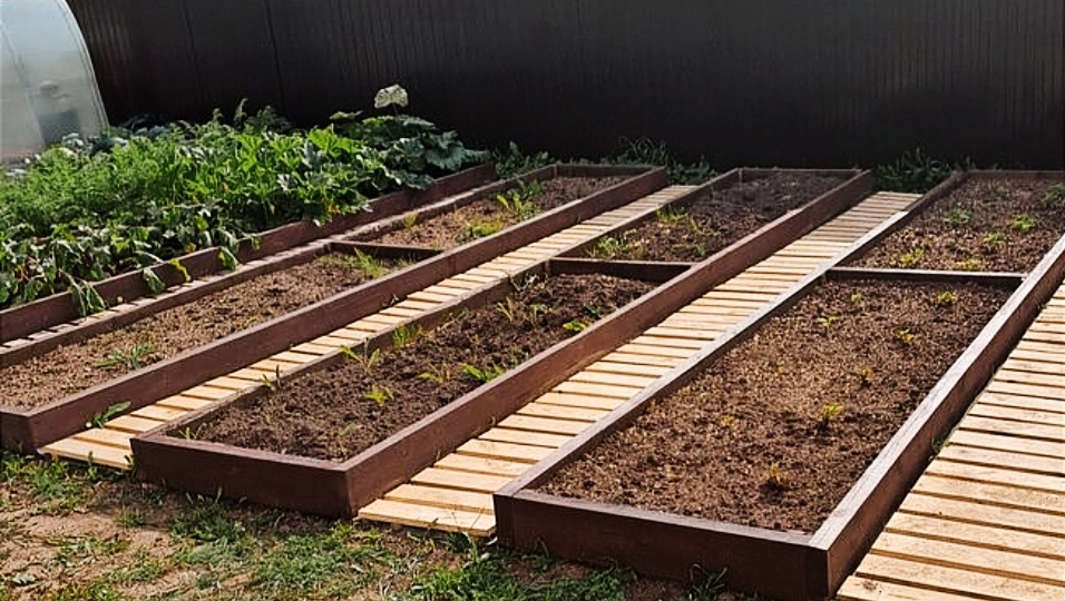 — Это все мое, — орала старушка в истерике