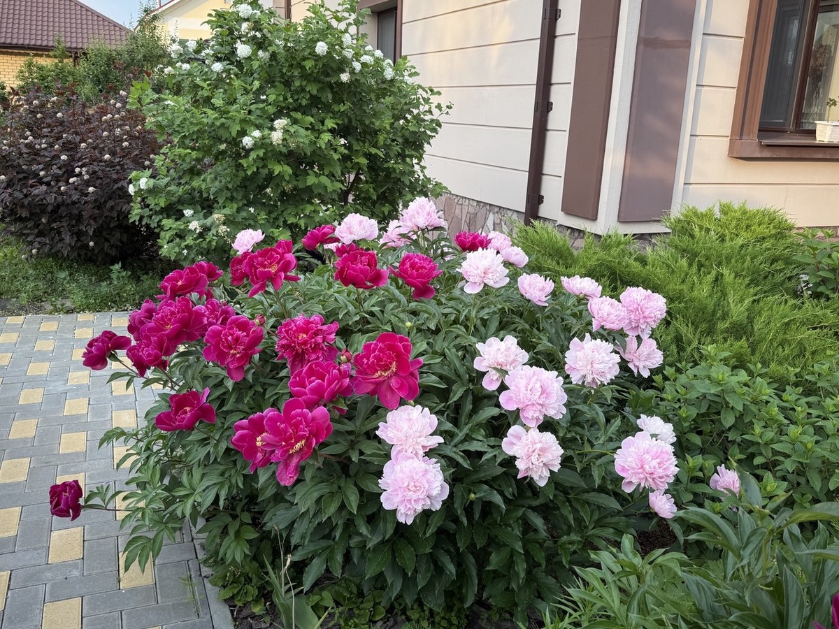 Фото автора