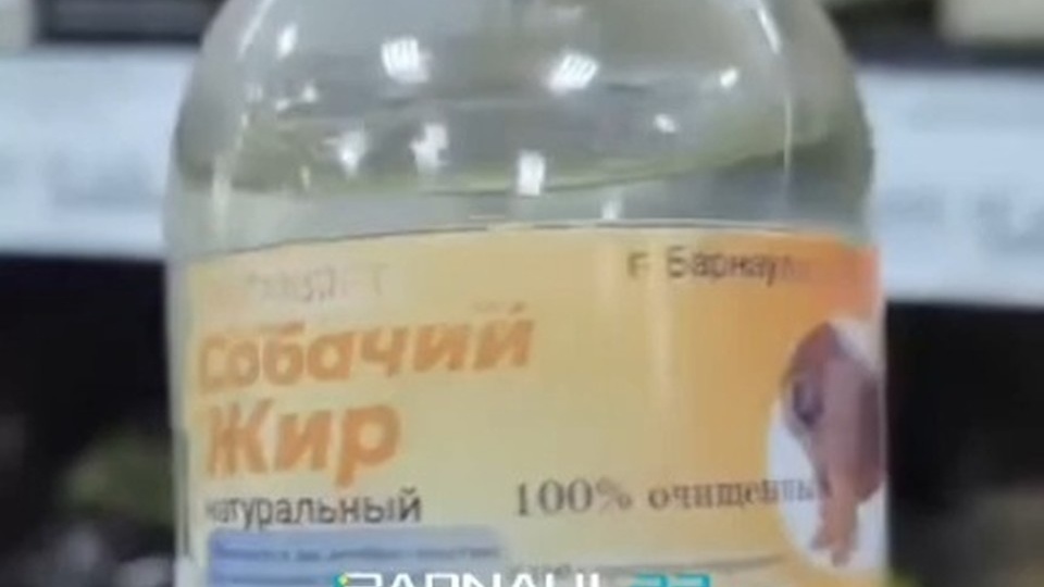Туристов в Абхазии удивил собачий жир из Барнаула на магазинных полках