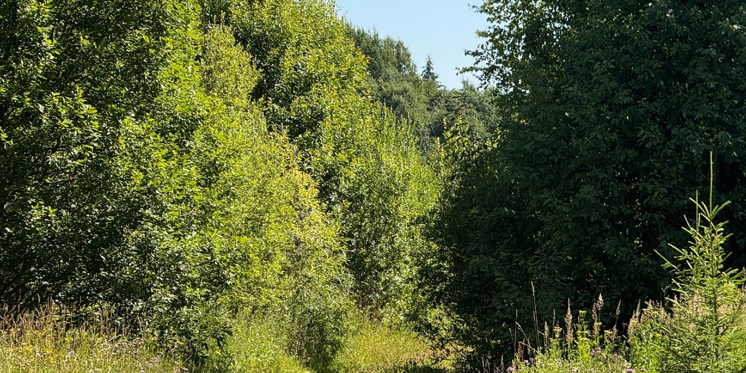 Как сбежала из дома, так совсем от рук отбилась