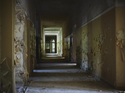    //Фото:freepik.com