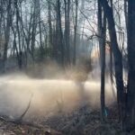    Фото: МЧС Карелии