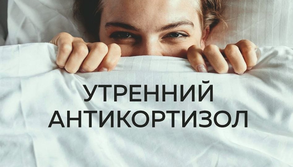 Кортизол - наш нейробудильник