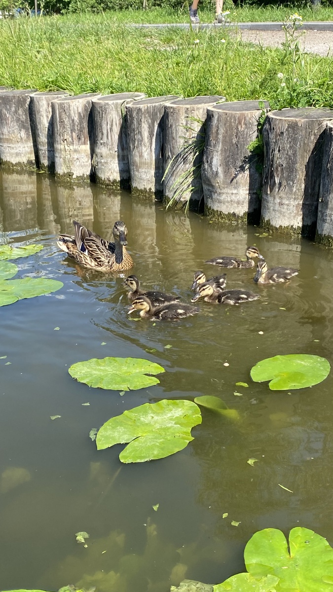 Фото автора канала