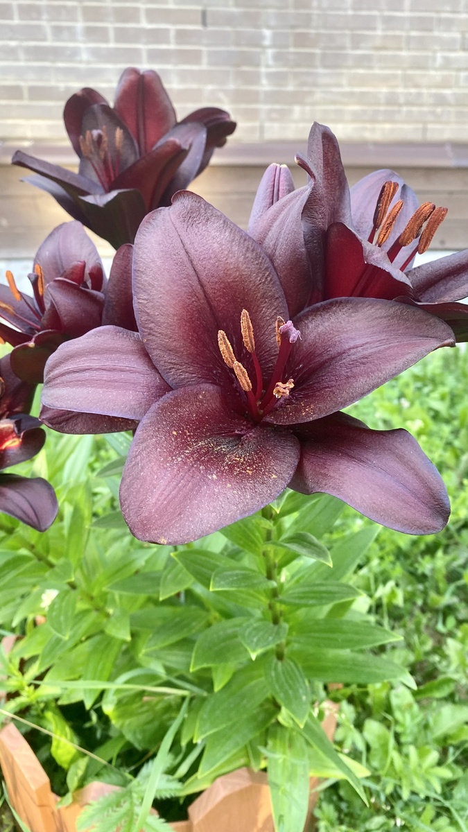 Фото автора канала