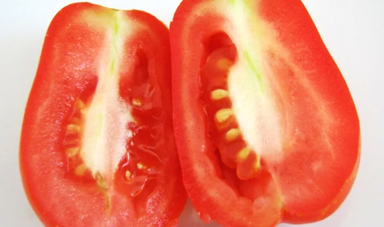 Белые прожилки в помидорах: как я победила жесткие волокна, лишившие меня урожая