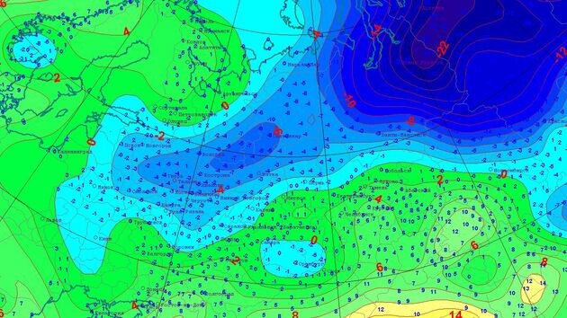 В Центральной России повсеместно ударили заморозки