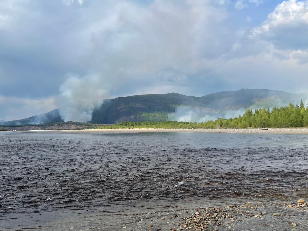 Лесной пожар после грозы