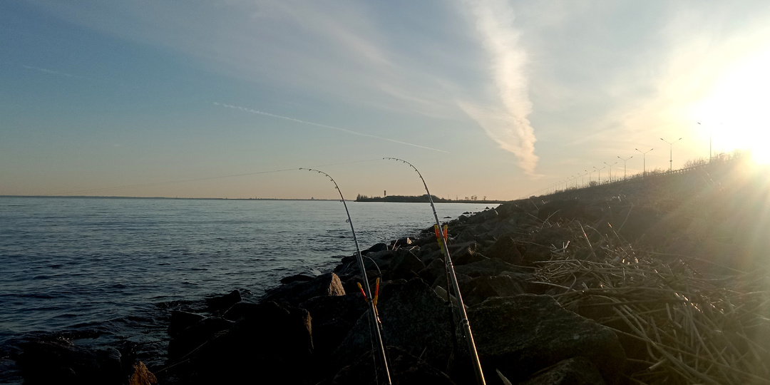 Повезло - успели половить! Фидерная ловля в двадцатых числах апреля удивила разнообразием улова