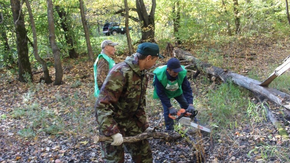 Очистим леса Аксубаевского района